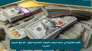 قفزة مفاجئة في سعر الدولار بالبنوك المصرية اليوم.. كم بلغ السعر الجديد؟